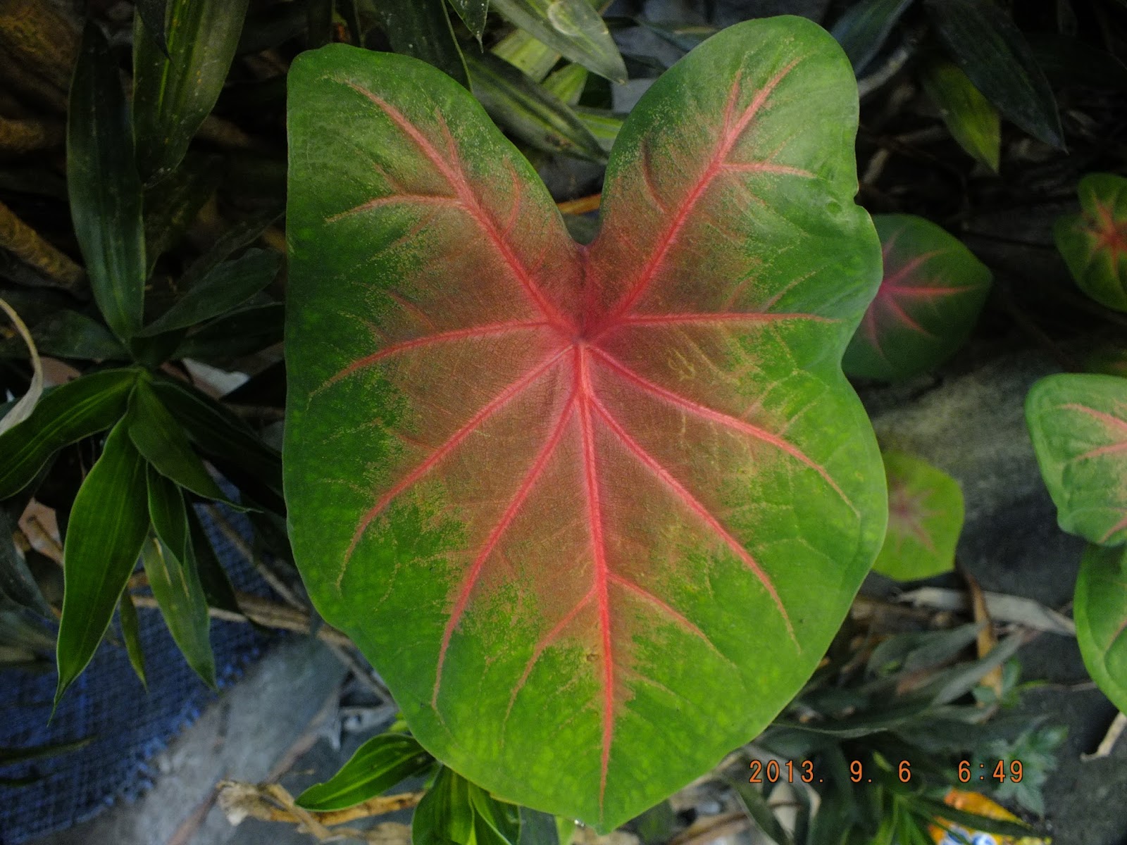 Photography with Dr. Ernie.: July 2012