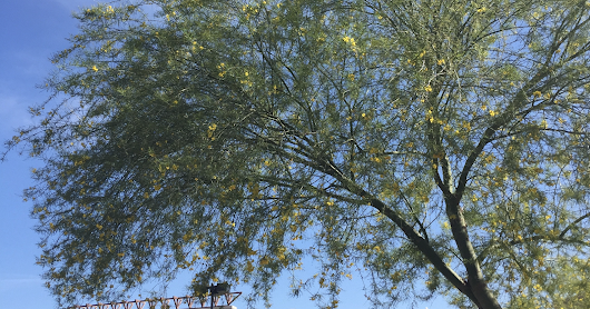 Burning calories in a leisurely way