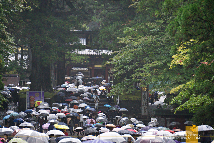 Nikko Temple Run Tourists