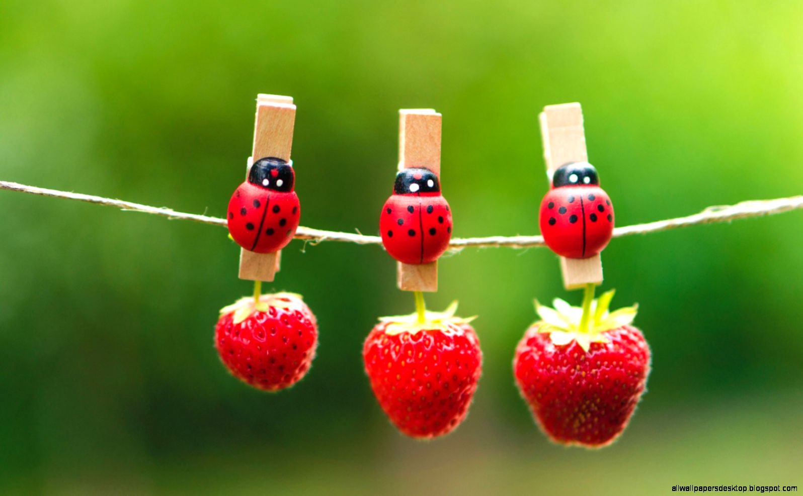 Strawberries Berries Red Clothespins Ladybugs Hd Wallpaper