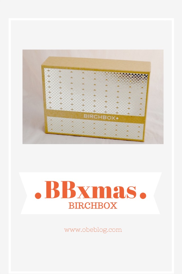 A_very_BB_CHRISTMAS_BIRCHBOX_02