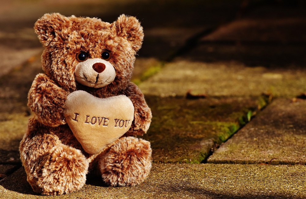Valentine's Week - Teddy Day