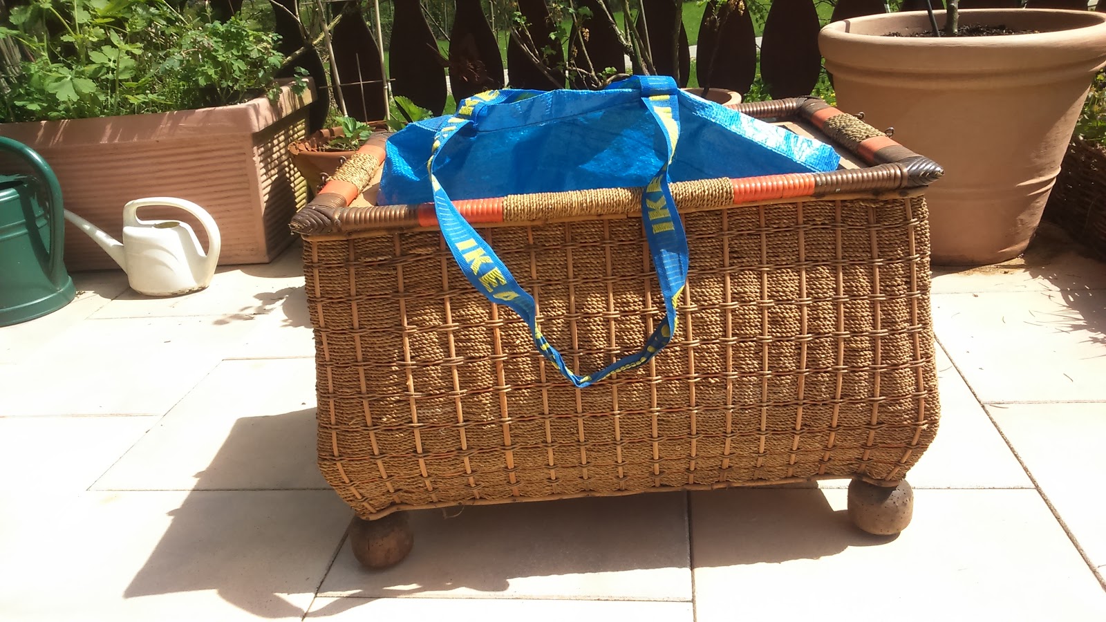 Bernadetts Blog Heilpflanzen und mehr: Tomaten suchen ein Zuhause und