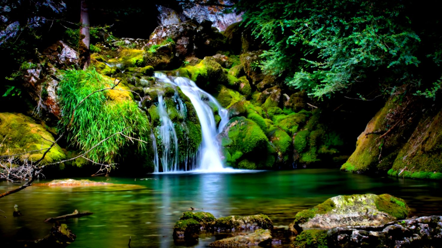 1b975dc487636a301a0dcd9b3514d0