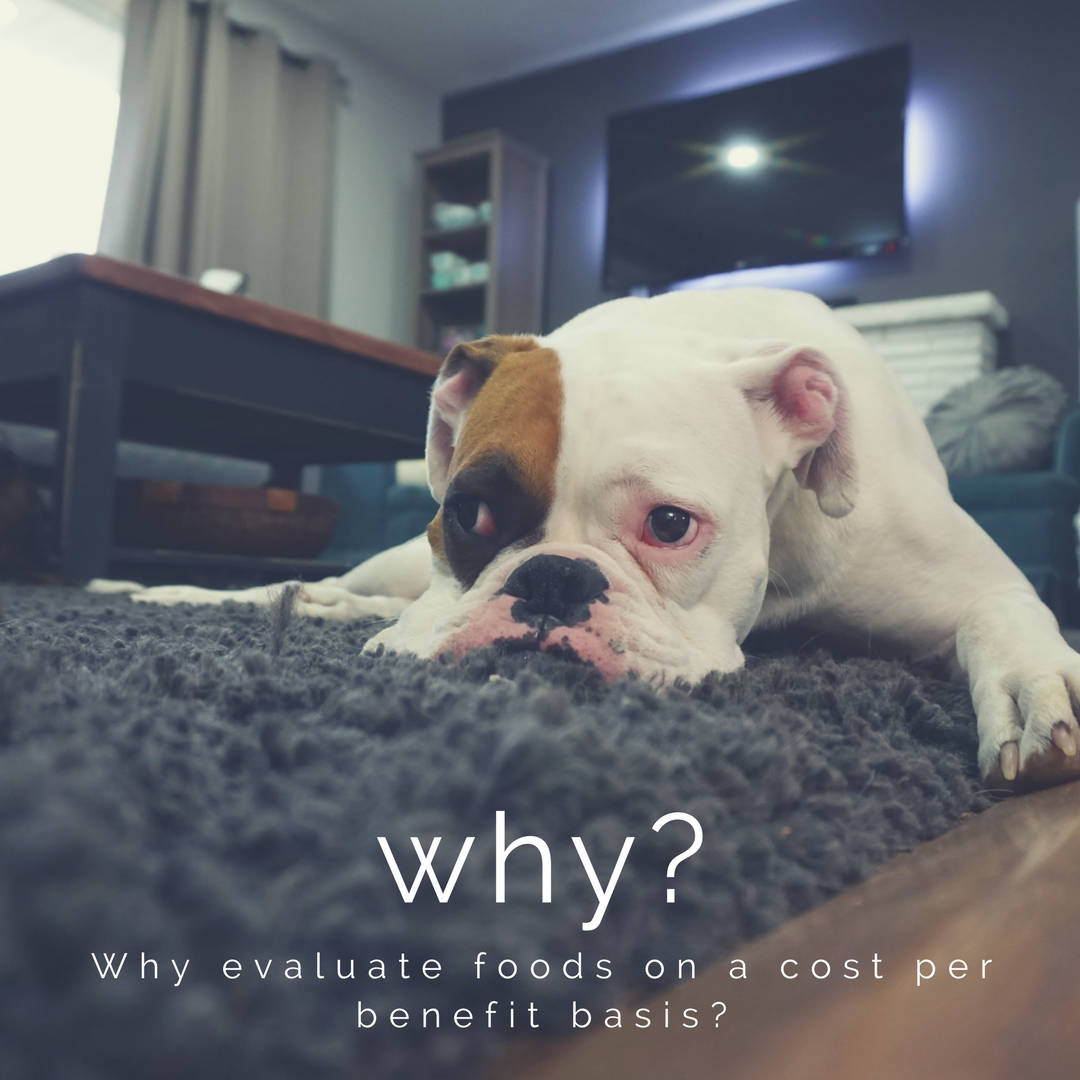 Nature's Select of the Carolinas Lowering Your Dog's Urine PH Levels