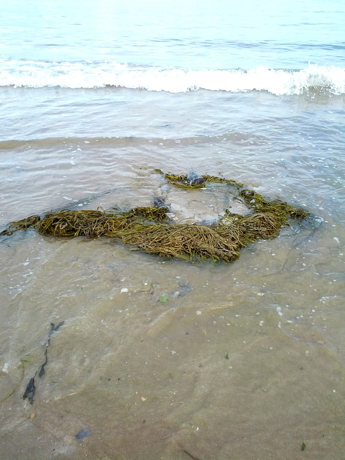 Taming the Goblin: Kids Co-op link up