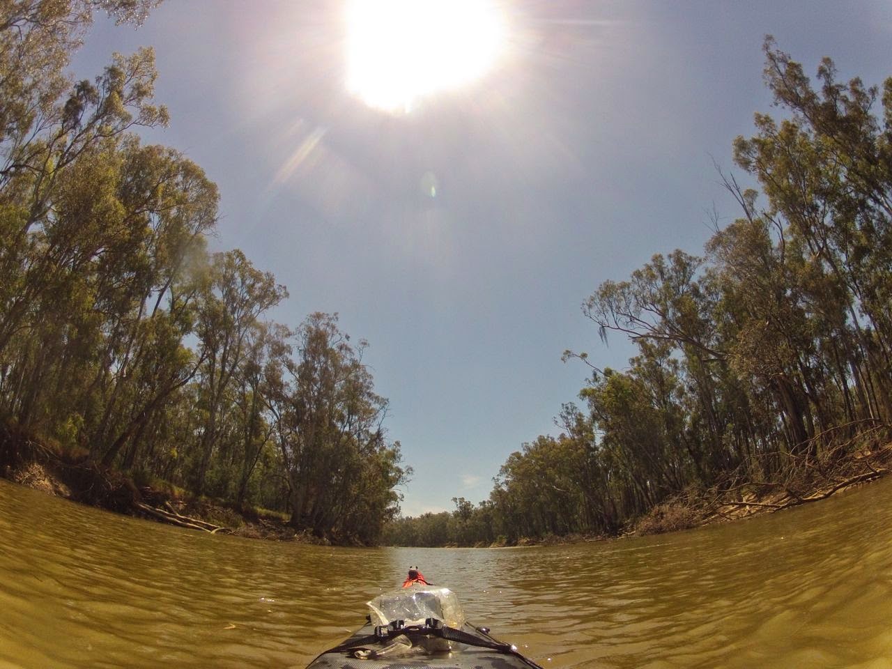 Murray River Kayak. Day 4 1545 to 1489 km to the sea Barham