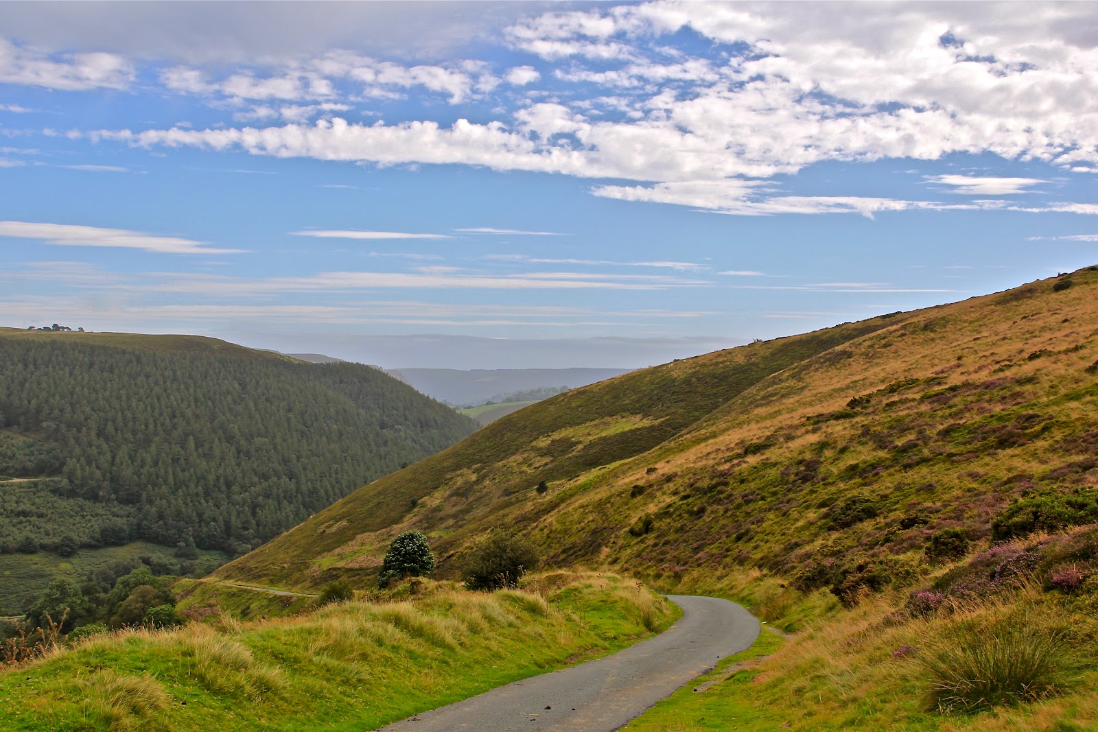 Travelling Diary Trekking to Horseshoe Pass and Falls, North Wales
