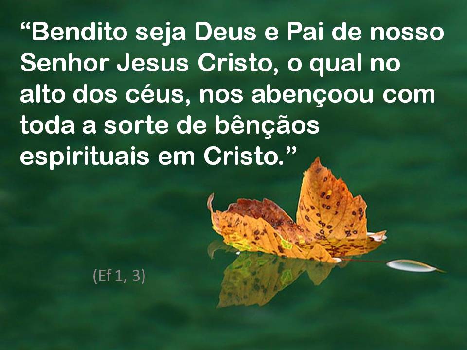 A Mão da Vida Bendito seja Deus
