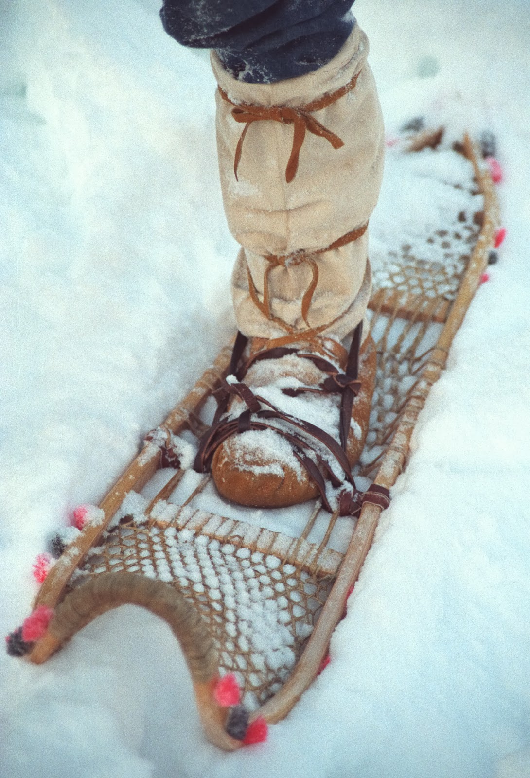 Reflections on Nature, Culture and Society Snow