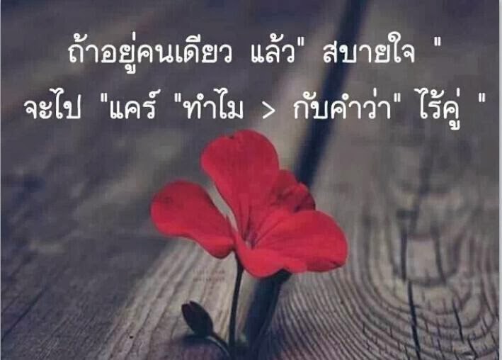 แรงใจดอทคอม เว็บแห่งกำลังใจออนไลน์: คำคมความรัก ถ้าอยู่คนเดียวสบายใจ