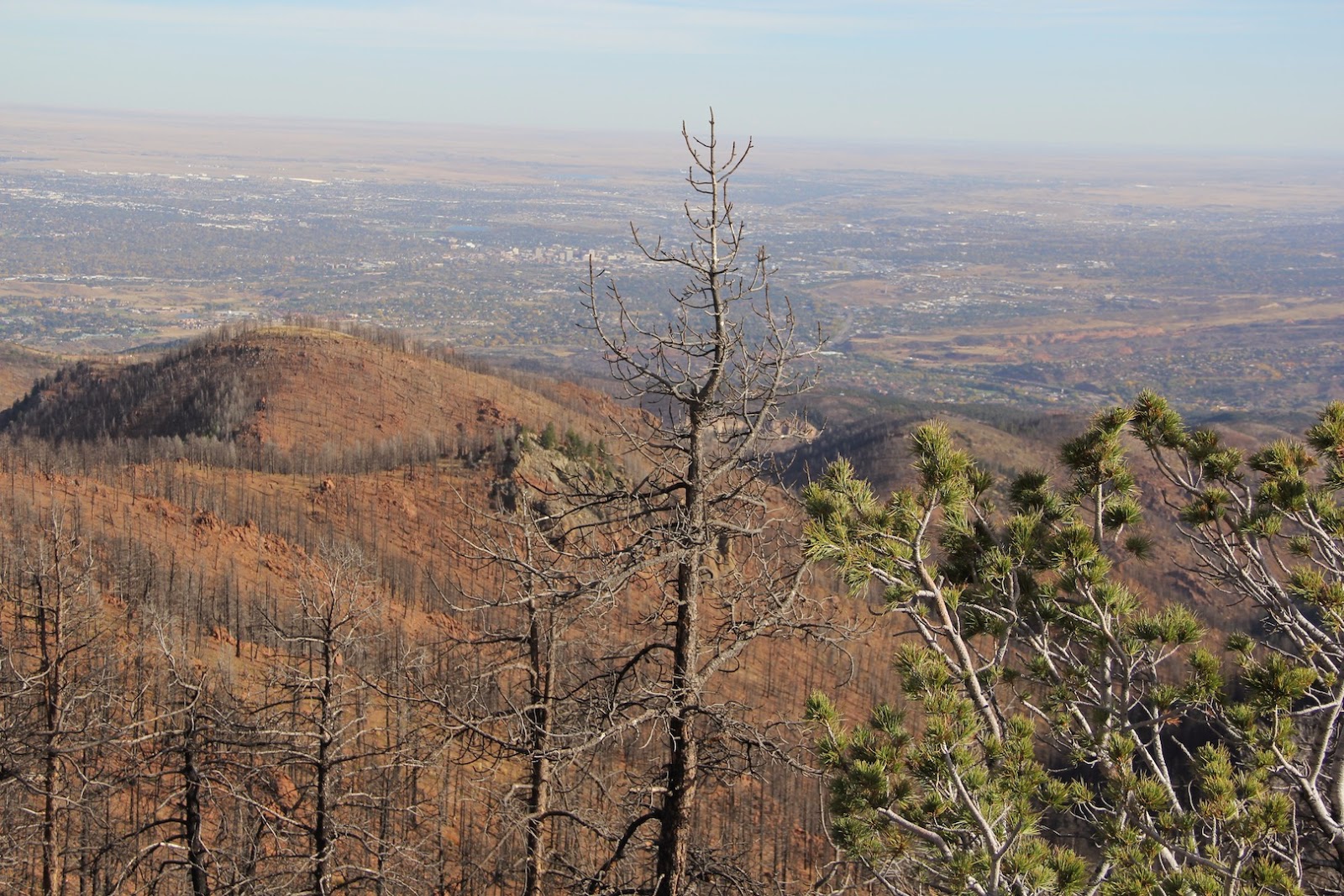 Restless native A changed condition Rampart Range Road offers a hard