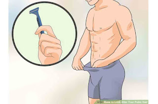 should you shave your pubes guys