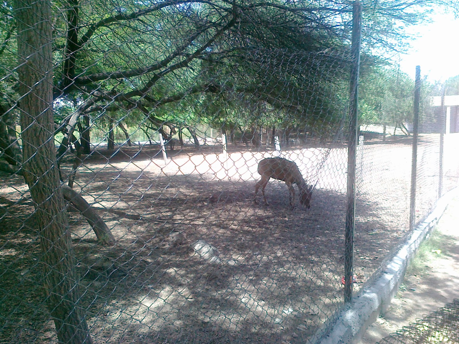 Tilyar lake Rohtak Photos Mini Zoo Photos Rohtak Tilyar Lake Images