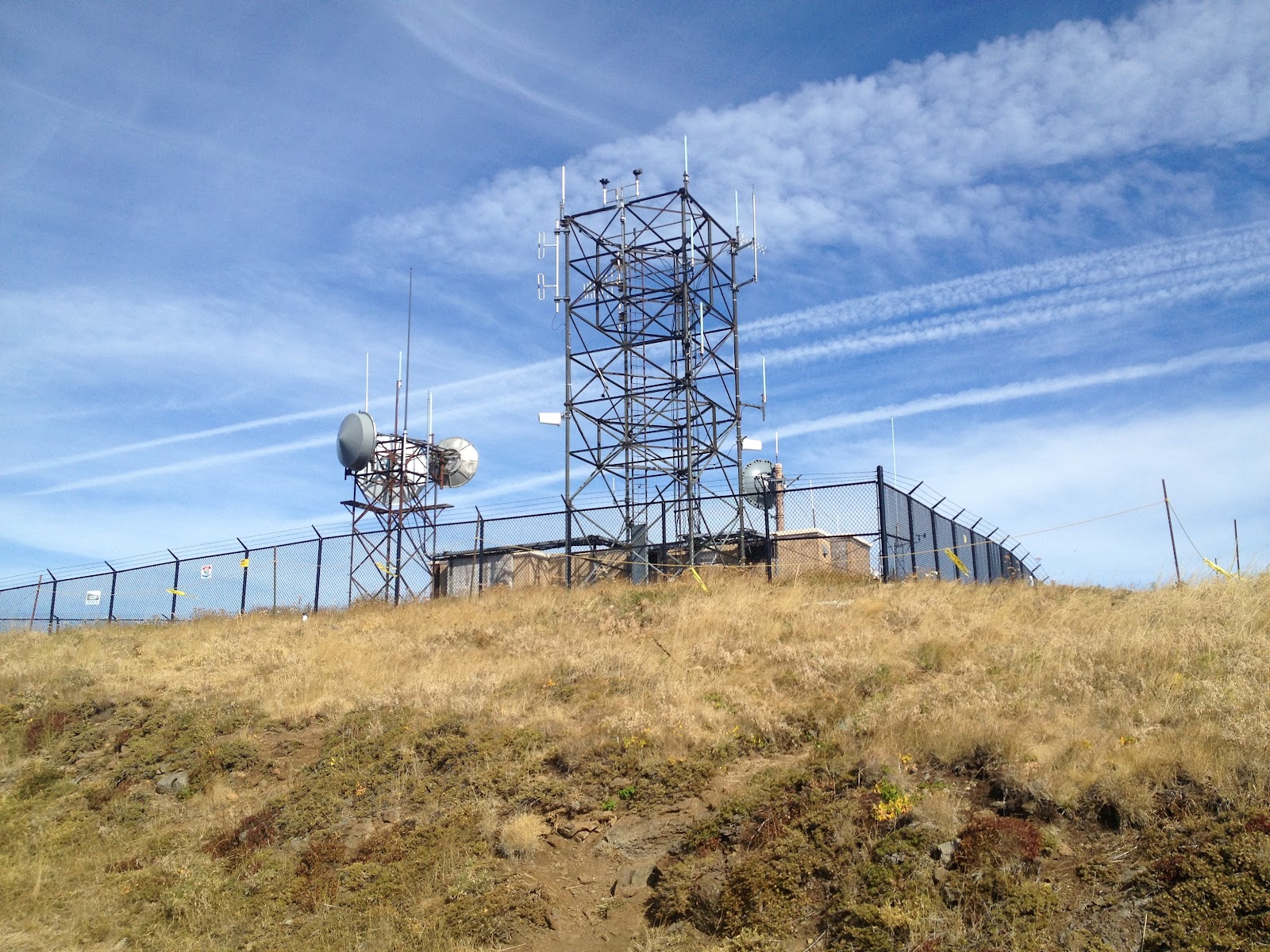 Marys Peak Oregon East Ridge Trail