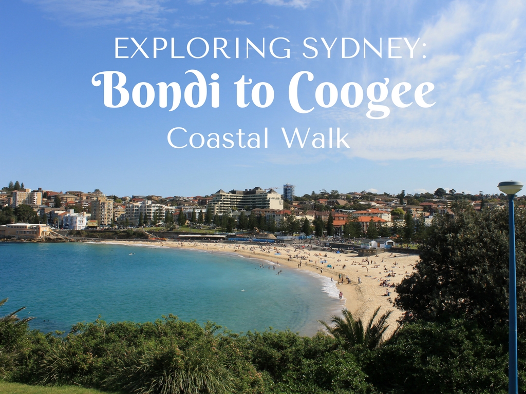 difference between bondi 6 and bondi 7