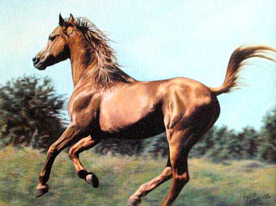 pinturas-modernas-de-caballos-al-oleo