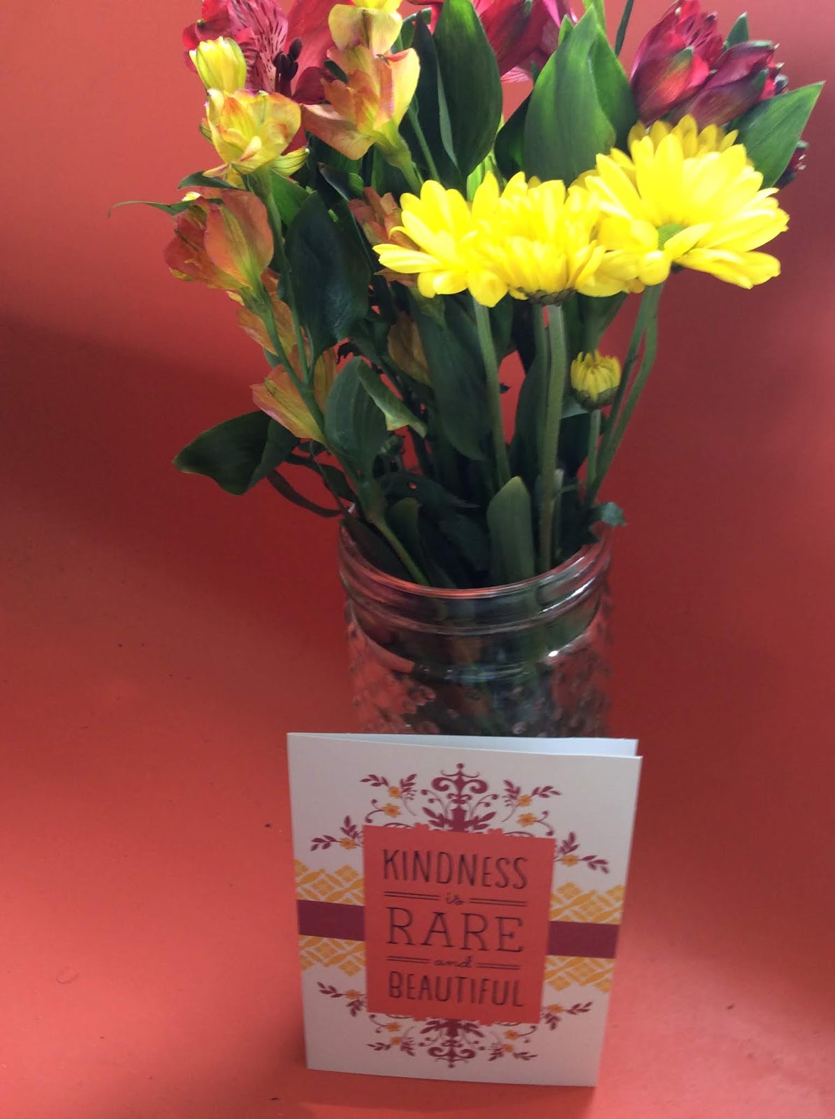 Heck Of A Bunch Hallmark Cards Now Available at Dollar Tree