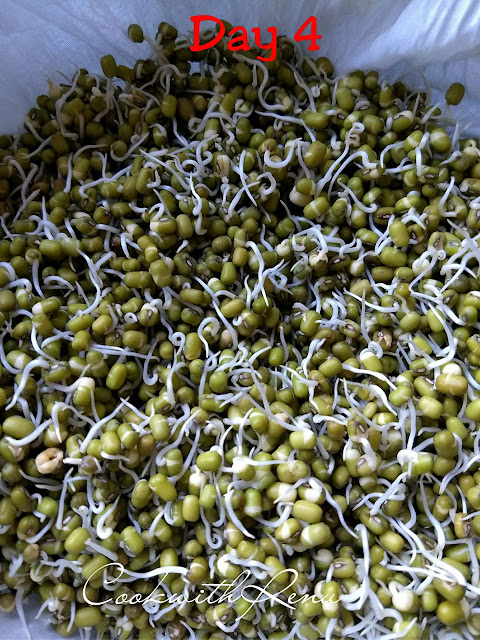 Homemade Mung Sprouts