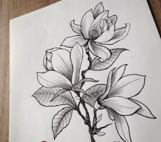 Sketsa Gambar Bunga