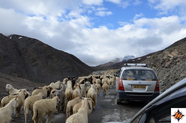 Salendo verso il Bara-lacha La Pass Salendo verso il Bara-lacha La Pass