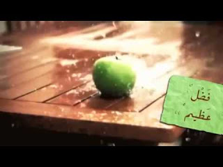 خلفة البنات هي الرحمة المهداة والجمال للحياة