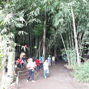Boon Pring Turen Malang Pilihan Murah Meriah Wisata Anda Boon Pring Turen Malang Pilihan Murah Meriah Wisata Anda