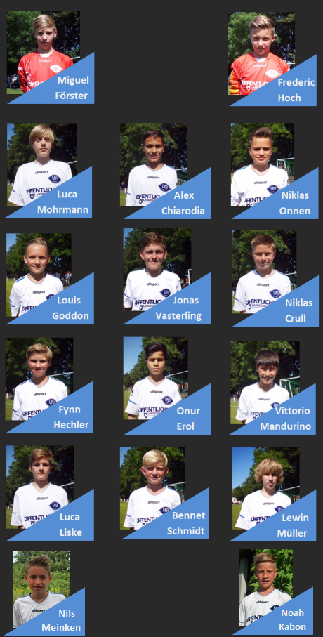 VfB Oldenburg 2001 Team