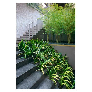 Home And Garden : Modern steps in Garden