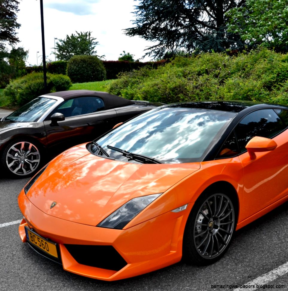 Want to Drive a Lamborghini Gallardo LP560  Exotic Car Rentals