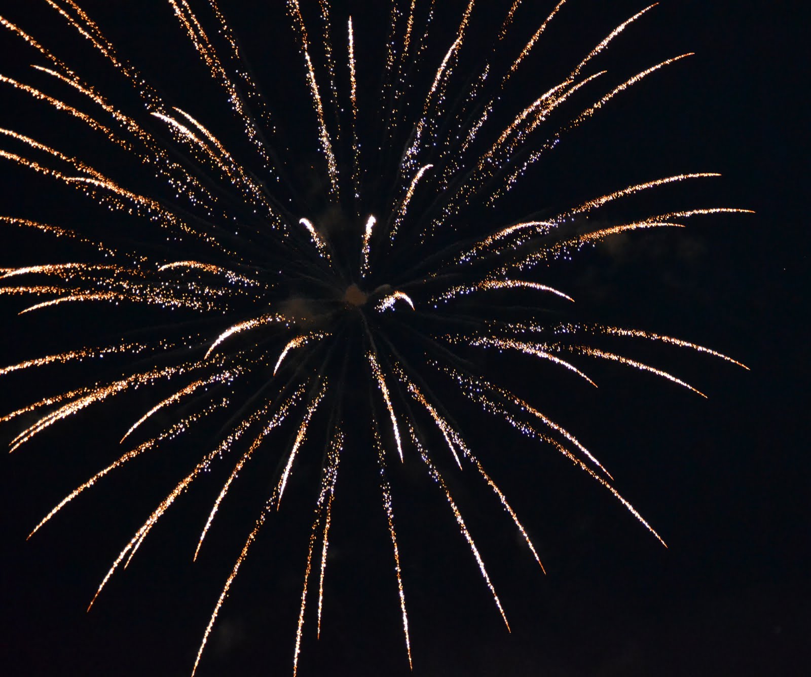 It's All About Purple Happy 4th of July!!!!!