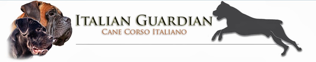 Italian Guardian