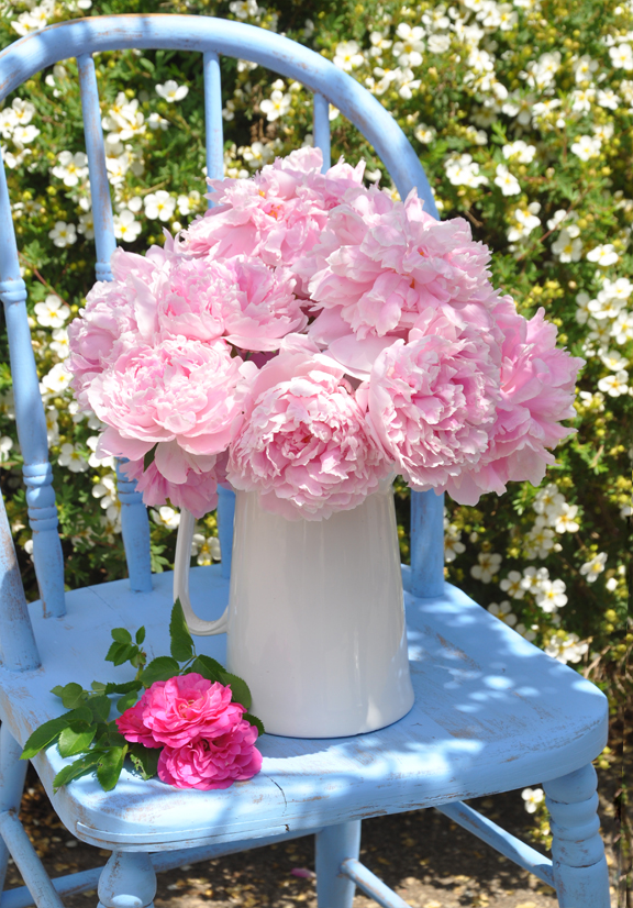 Three Dogs in a Garden Roses, Peonies and Foxgloves