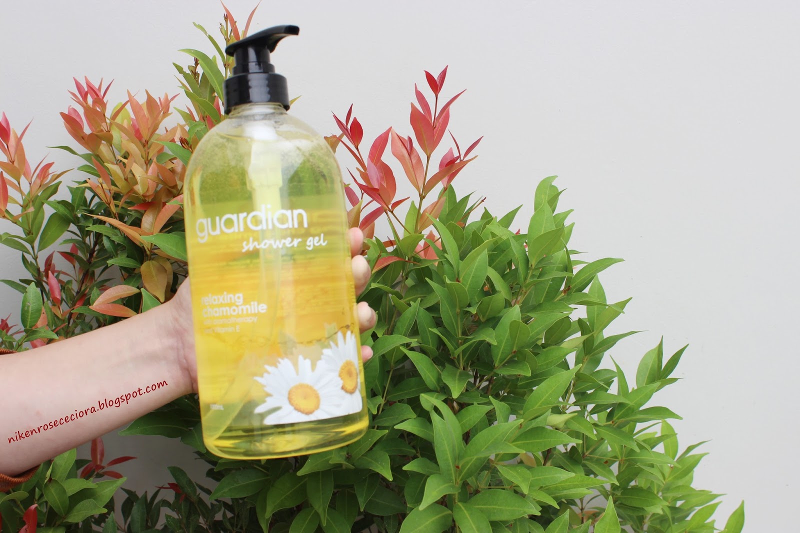 Diary of Niken Review Guardian Shower Gel (Chamomile)