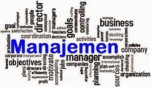 Sistem Perencanaan SDM - Virell P