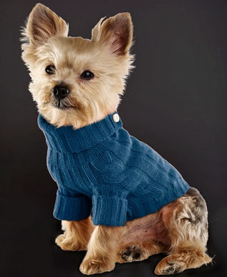 jersey para perro Ralph Lauren
