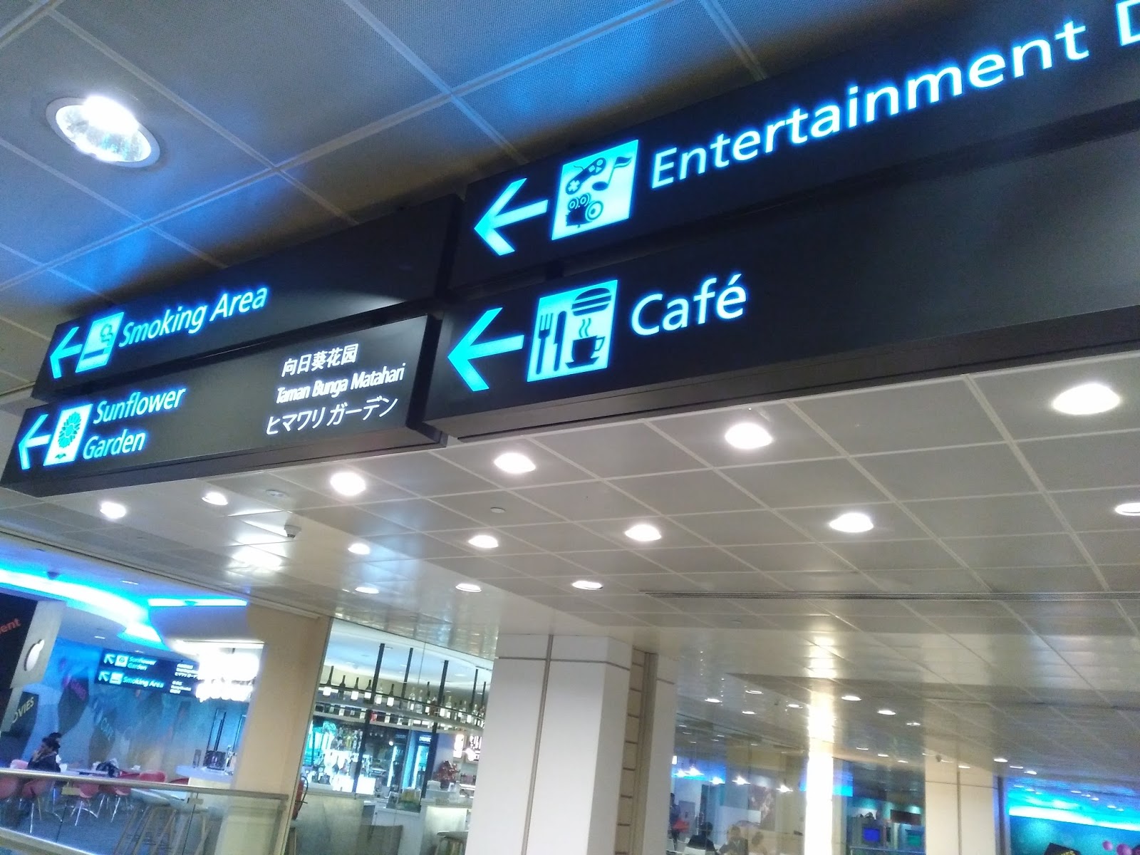 Helmia Miaphy Sunflower Garden Changi Airport T2