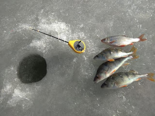 зимняя рыбалка в цегове