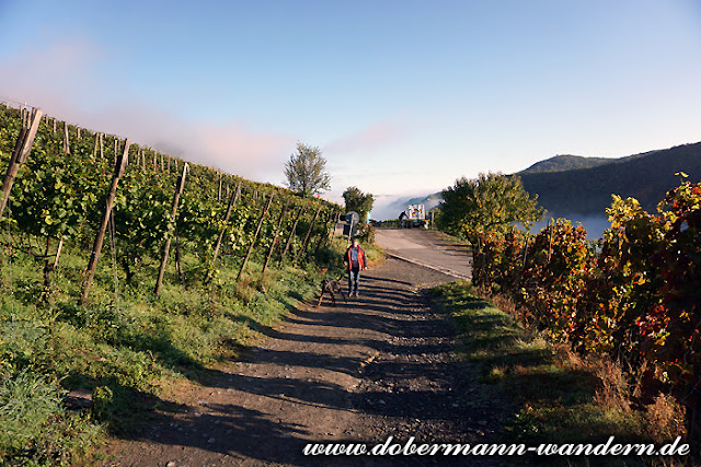 Interviewseite Helga Konig Und Peter J Konig Buch Kultur Und