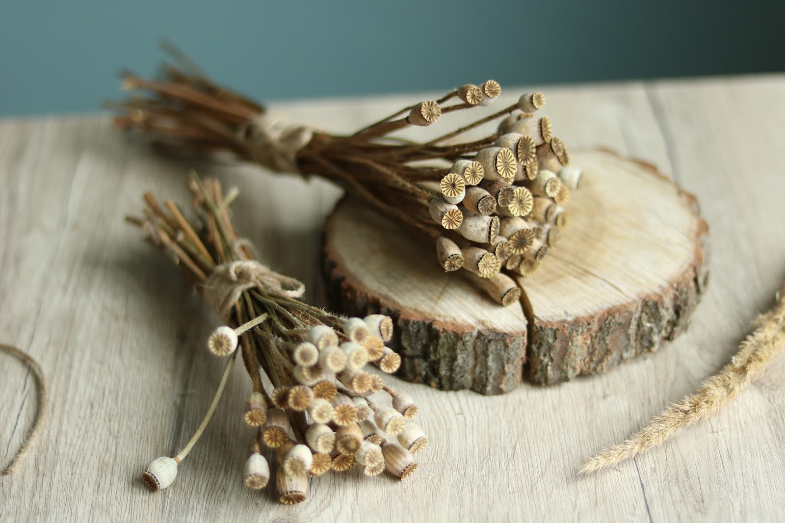 Dried flowers How to dry a poppy for bouquets?
