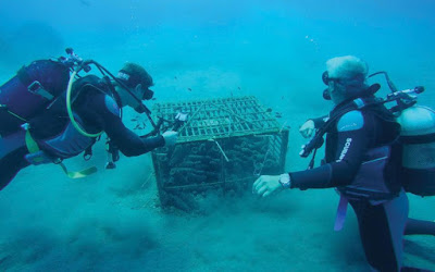 Ασύρτικο από... τον βυθό της θάλασσας  