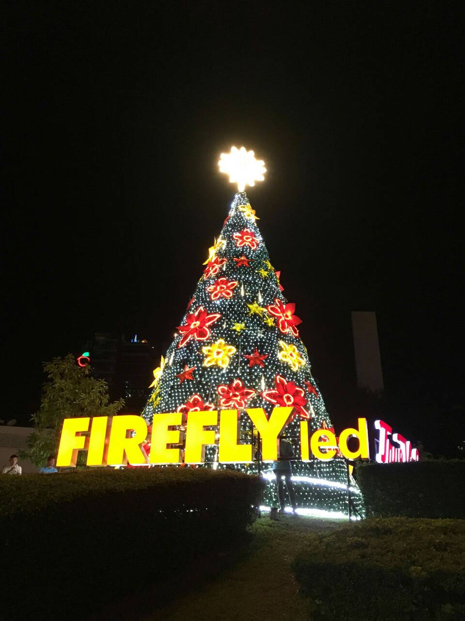 Firefly LED’s Bright Christmas Lights Illuminates the Metro Rockstarmomma