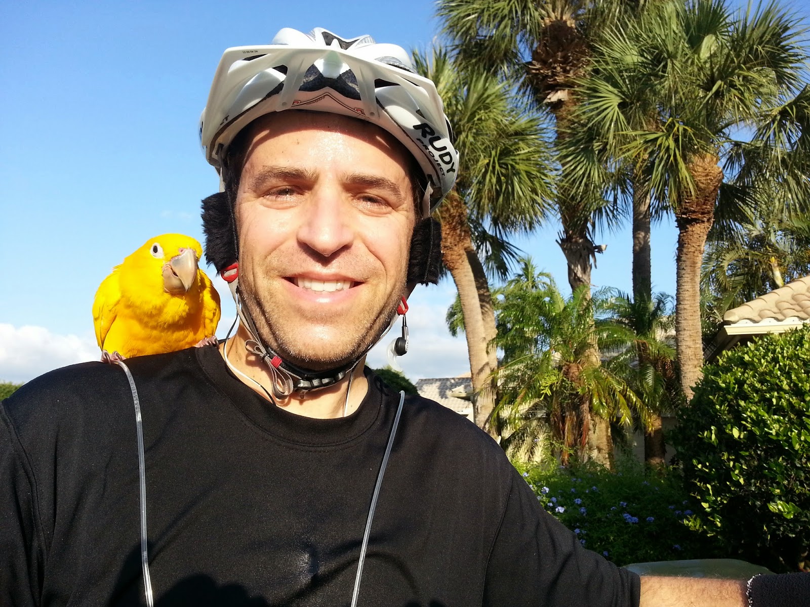 All about stand up riding, exercising and tips!: Day 20 - Everyday In ...