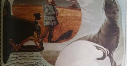 Cúmulos y limbos: Carmen Martín Gaite: 'Visión de Nueva York' (y II)