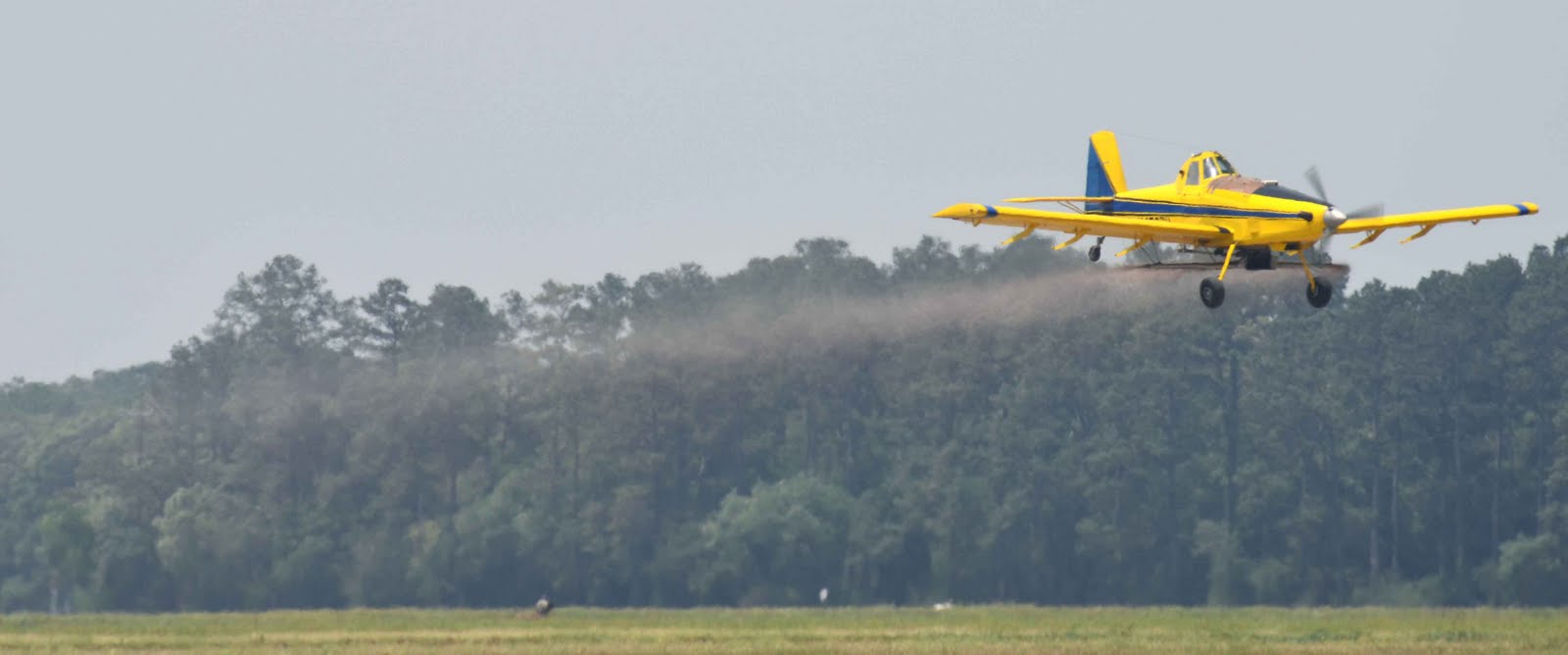 LSU AgCenter Rice Research Station April 2011