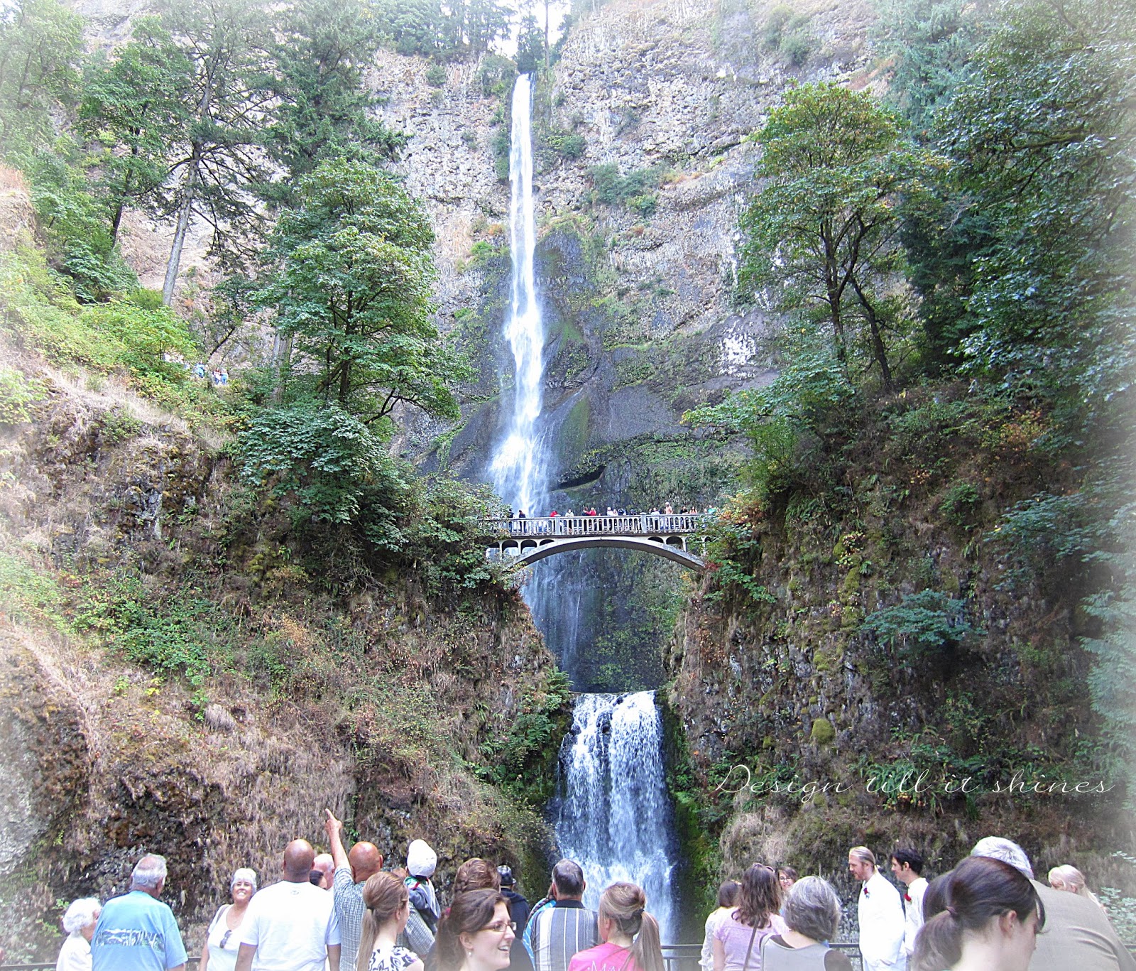 Design Till It Shines Multnomah Falls Highlights I Still Couldn T Get A View Of The Bride But These Pictures Came Out So Sweet Unexpected To See Wedding Here