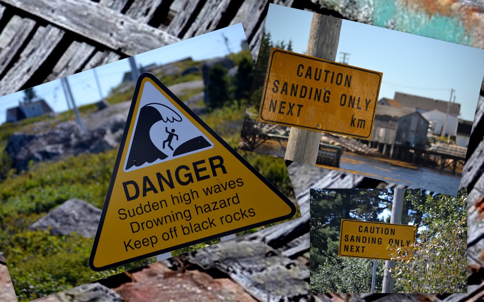 Trish and JoeyVille Peggy's Cove