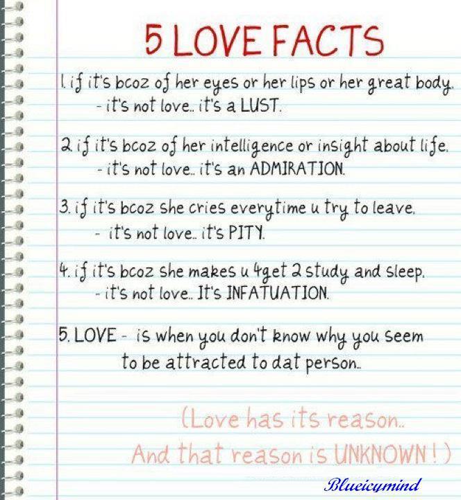 What is Love? 5 Love Facts My Romantic Love Tunes For Someone Special