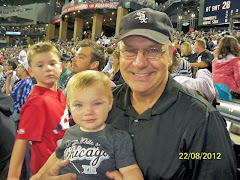 At the White Sox game