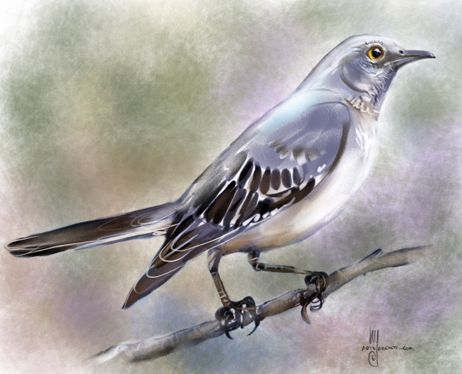Mockingbird biffuzi Mockingbird biffuzi